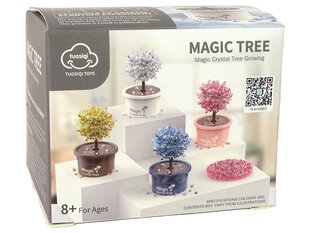 Магическое кристаллическое дерево, белое цена и информация | Развивающие игрушки и игры | kaup24.ee
