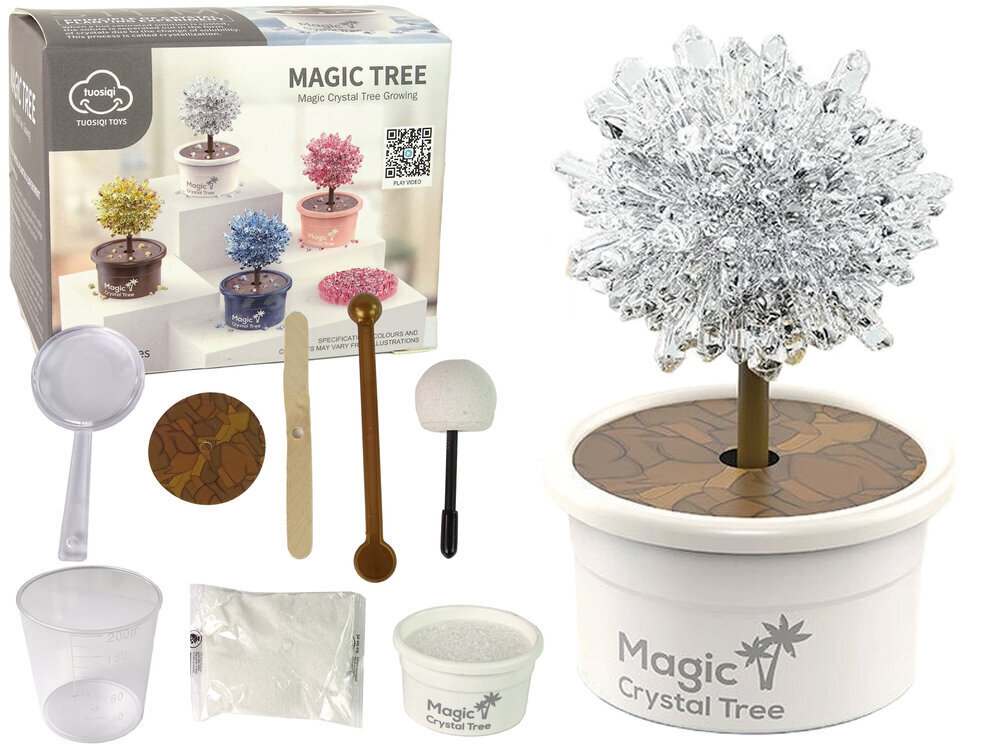 Magic Crystal Tree Magic Tree, valge hind ja info | Arendavad mänguasjad | kaup24.ee