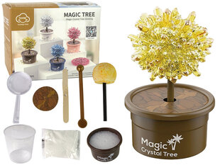 Волшебное дерево, золотое цена и информация | Развивающие игрушки | kaup24.ee