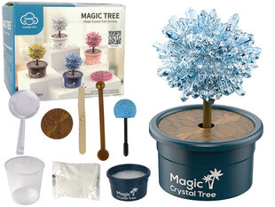 Magic Tree Magic Tree, sinine hind ja info | Arendavad mänguasjad | kaup24.ee