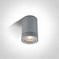 ONELight уличный потолочный светильник Cylinders 67130C/G