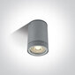 ONELight välislaevalgusti Cylinders 67130C/G цена и информация | Laelambid | kaup24.ee