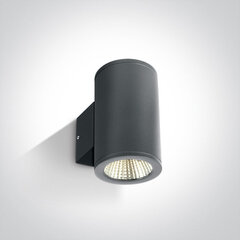 ONELight уличный настенный светильник Cylinders 67138/AN/W цена и информация | Уличное освещение | kaup24.ee