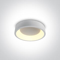 ONELight laelamp LED 62130N/W/W цена и информация | Потолочные светильники | kaup24.ee