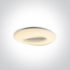 ONELight laelamp LED Cloud 62148B/W цена и информация | Потолочные светильники | kaup24.ee