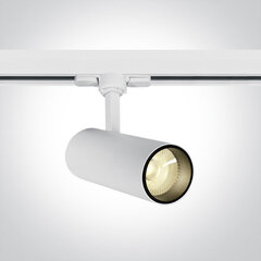 ONELight потолочный светильник COB Cylinder LED 65642AT/W/W цена и информация | Потолочные светильники | kaup24.ee