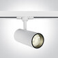ONELight laelamp COB Cylinder LED 65642BT/W/C hind ja info | Laelambid | kaup24.ee