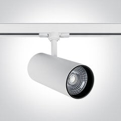 ONELight потолочный светильник COB Cylinder Track LED 65642CT/W/W цена и информация | Потолочные светильники | kaup24.ee