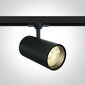 ONELight laelamp COB Cylinder Track LED 65642CT/B/W цена и информация | Laelambid | kaup24.ee