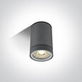 ONELight уличный потолочный светильник Cylinders 67130C/AN