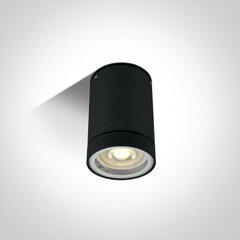 ONELight уличный потолочный светильник Cylinders 67130C/B цена и информация | Потолочные светильники | kaup24.ee