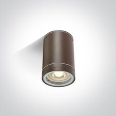 ONELight уличный потолочный светильник Cylinders 67130C/BR цена и информация | Потолочные светильники | kaup24.ee