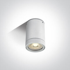 ONELight уличный потолочный светильник Cylinders 67130C/W цена и информация | Потолочные светильники | kaup24.ee