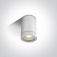 ONELight уличный потолочный светильник Cylinders 67130C/W