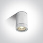 Välislaevalgusti OneLight Cylinders 67130C/W цена и информация | Laelambid | kaup24.ee