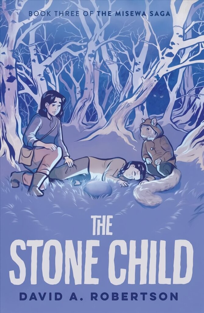 The Stone Child: The Misewa Saga, Book Three hind ja info | Noortekirjandus | kaup24.ee