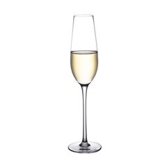 Бокалы для шампанского Home4you, 2шт, 200мл цена и информация | Стаканы, фужеры, кувшины | kaup24.ee