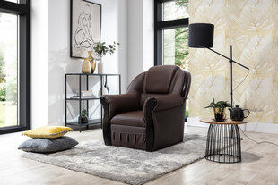 Кресло Lord 1F, коричневое цена и информация | Кресла в гостиную | kaup24.ee