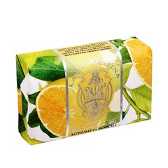 Мыло La Florentina Boboli Citrus 200 г цена и информация | La Florentina Кухонные товары, товары для домашнего хозяйства | kaup24.ee