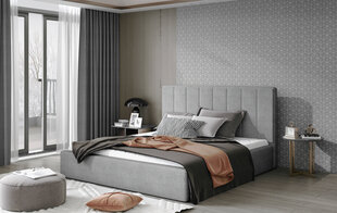 Кровать  Audrey, 160х200 см, серый цвет цена и информация | Кровати | kaup24.ee