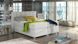 Кровать  Basilio, 160х200 см, белый цвет цена и информация | Кровати | kaup24.ee