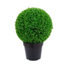 Kunstpuu Boxwood, 60cm hind ja info | Kunstlilled | kaup24.ee