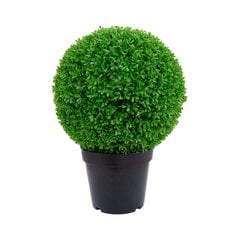Зеленое растение BOXWOOD, H60см, черный горшок цена и информация | Искусственные цветы | kaup24.ee