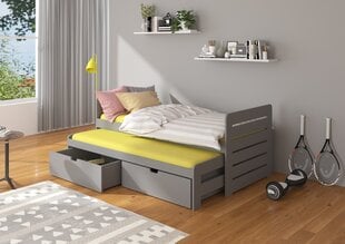 Lastevoodi ADRK Furniture Tomi, 90x200 cm, hall цена и информация | Детские кровати | kaup24.ee