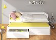 Lastevoodi Adrk Furniture Tiarro, 90x200 cm, valge/roosa hind ja info | Lastevoodid | kaup24.ee