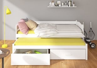 Lastevoodi Adrk Furniture Tiarro, 90x200 cm, hall/pruun hind ja info | Lastevoodid | kaup24.ee