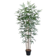 Kunstpuu Bambus, 150cm hind ja info | Kunstlilled | kaup24.ee