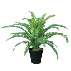 Искусственное растение BOSTON FERN H45см, папоротник, чёрный горшок цена и информация | Искусственные цветы | kaup24.ee