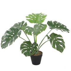 Искусственное растение MONSTERA H60см, чёрный горшок цена и информация | Искусственные цветы | kaup24.ee