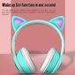 Berimax Gaming peakomplekt Cat Ears RGB K26 BRM_0504084LB hind ja info | Kõrvaklapid | kaup24.ee