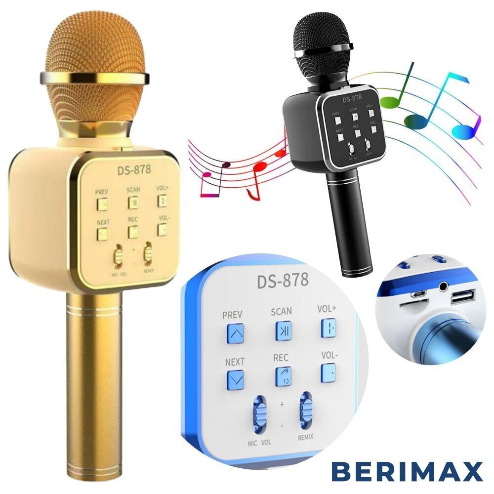 Mikrofon koos efektidega Berimax DS878 BRM_0508021YL hind ja info | Arendavad mänguasjad | kaup24.ee
