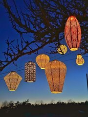 Садовый светильник с солнечной батареей Lumiz Long Oval20 Bazaar Розовый цена и информация | Уличное освещение | kaup24.ee