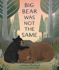 Big Bear Was Not the Same цена и информация | Книги для подростков и молодежи | kaup24.ee