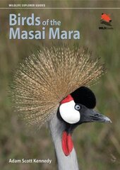 Birds of the Masai Mara цена и информация | Книги о питании и здоровом образе жизни | kaup24.ee