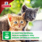 Hill's Science Plan Kitten Healthy Development Multi Pack guljašš kassipoegadele, 85 g x 12tk. hind ja info | Konservid kassidele | kaup24.ee