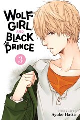 Wolf Girl and Black Prince, Vol. 3 цена и информация | Фантастика, фэнтези | kaup24.ee