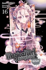 Magical Girl Raising Project, Vol. 16 (light novel) hind ja info | Fantaasia, müstika | kaup24.ee
