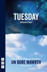 Tuesday: With a Welsh-language translation, Un Bore Mawrth Bilingual edition цена и информация | Рассказы, новеллы | kaup24.ee