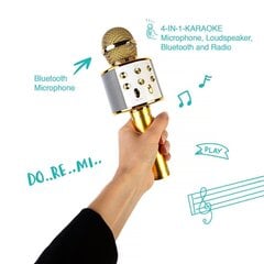 Karaoke mikrofon - kõlar häält muutvate efektidega WS-858 цена и информация | Развивающие игрушки | kaup24.ee