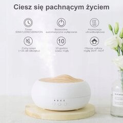 Ultraheli õhuniisutaja Aroma Zen Eco цена и информация | Увлажнители воздуха | kaup24.ee