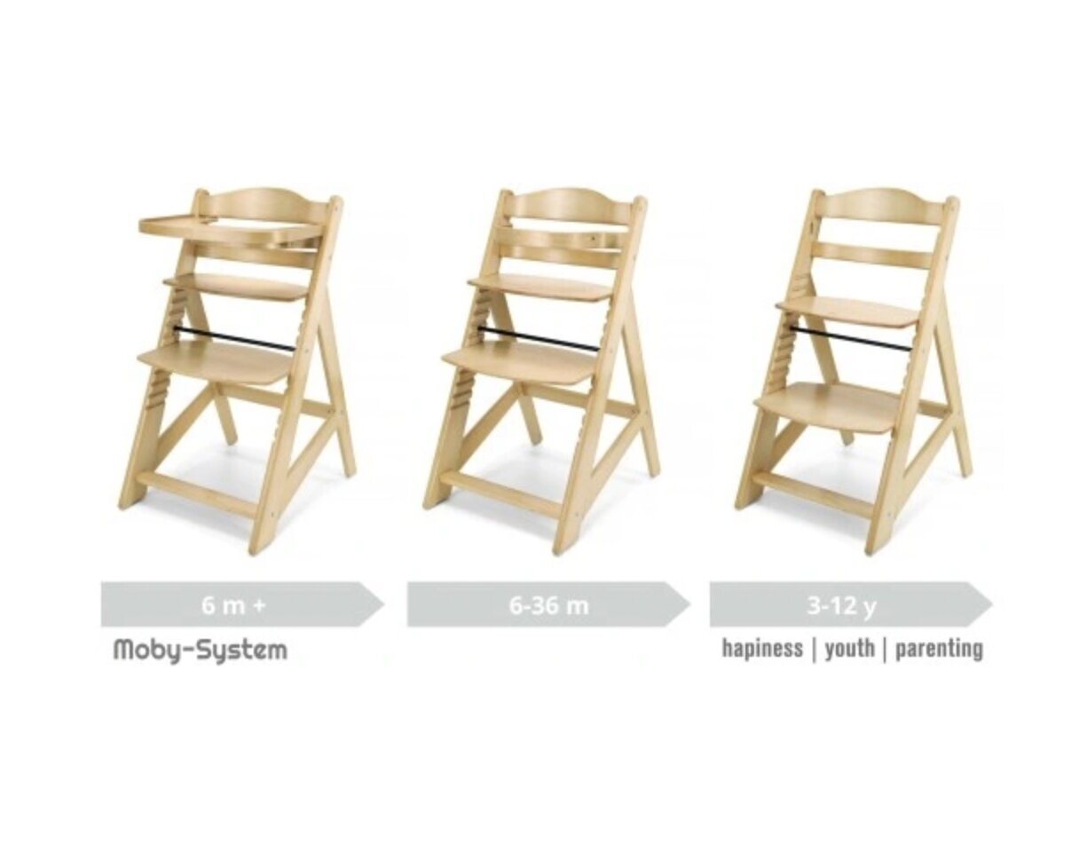 Söögitool Moby System 87 x 58 x 45 cm hind ja info | Laste söögitoolid | kaup24.ee