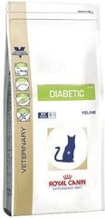 Kuivtoit diabeeti põdevatele kassidele Royal Canin Cat diabetic, 0,4 kg hind ja info | Kuivtoit kassidele | kaup24.ee