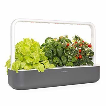 Click & Grow Smart Garden 9 hind ja info | Nutipotid ja taimelambid | kaup24.ee