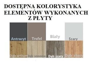 Кровать двухъярусная ADRK Furniture Etapo 90x200 см, белый/серый цвет цена и информация | Детские кровати | kaup24.ee