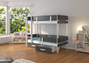 Кровать двухъярусная Adrk Furniture Etiona с матрасом, 90х200 см, белый/черный цвет цена и информация | Детские кровати | kaup24.ee