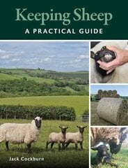 Keeping Sheep hind ja info | Ühiskonnateemalised raamatud | kaup24.ee
